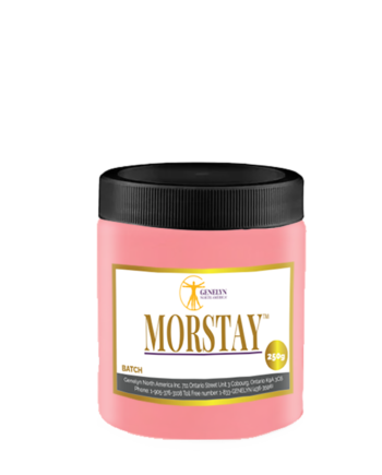 MorStay